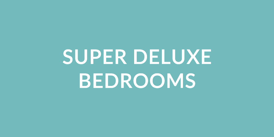 gSuperDeluxeRoom